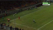 Camara S. GOAl - Angers 0-3 Montpellier 20.02.2016 -