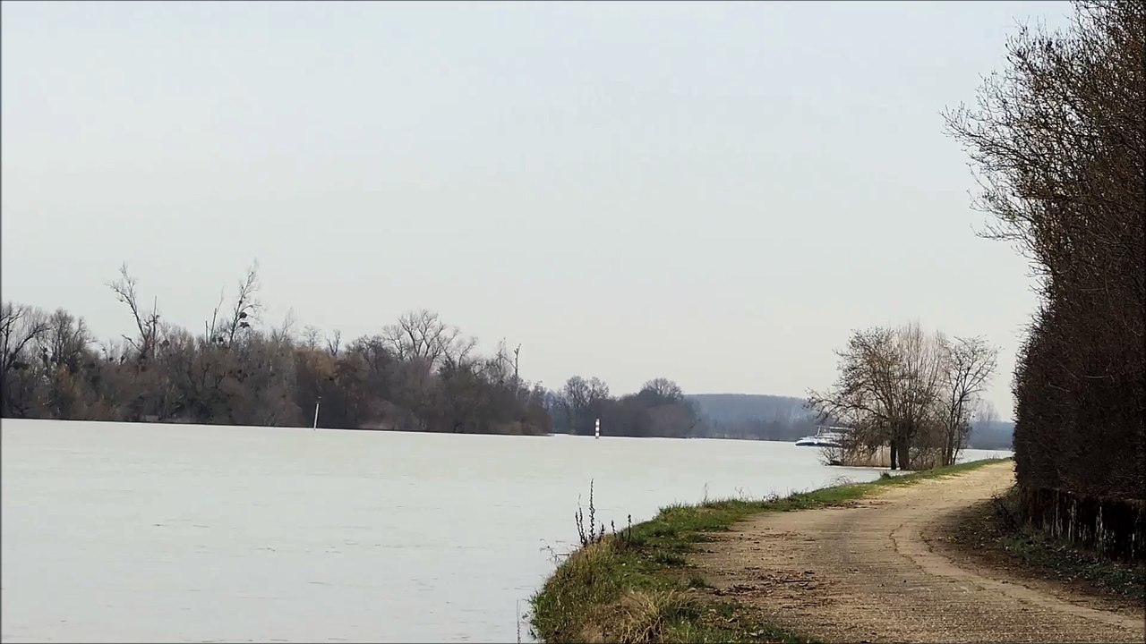 Le TENNESSEE à Saint Romains des Îles.