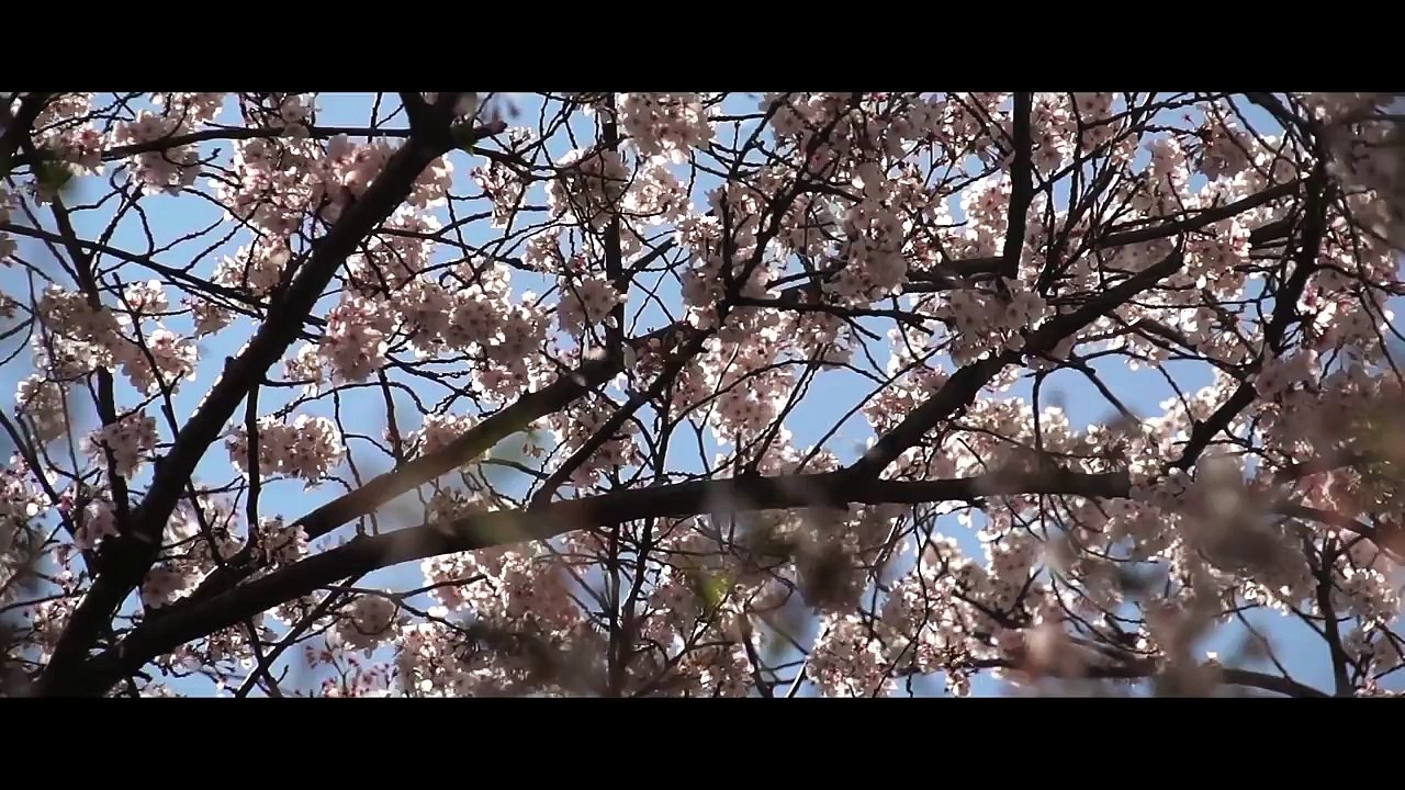 Andrea Bocelli, Ariana Grande - E Più Ti Penso