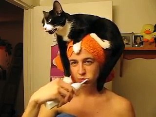 Human Cat Perch
