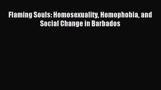 Download Flaming Souls: Homosexuality Homophobia and Social Change in Barbados Ebook Free