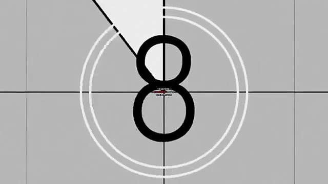 The Metro Goldwyn Mayer Lion Mascots