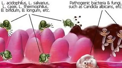 !!live!!Fleetwood Town vs Barnsley live Stream (News World)