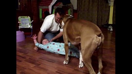 Spinning Toddler Like A Top - Funny - toddle tale