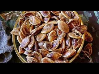 Семена  тыквы через 800 лет дали урожай.