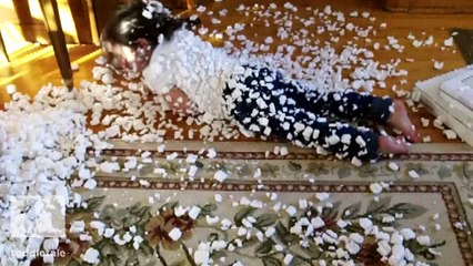 Toddler prepares herself to be shipped - Funny - toddle tale