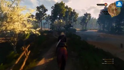 Lets Talk The Witcher 3: Wild Hunt Multiplayer / Online & Modding