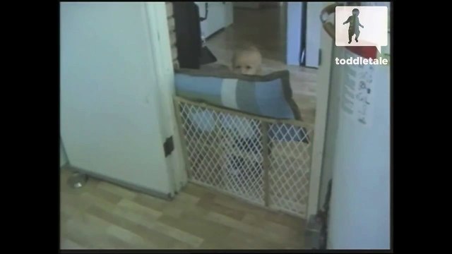 Acrobatic baby uses 007 skills to scale and flip over fence - Active Toddlers - toddletale