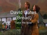 David Gates - Take Me Now - Tradução em Português.