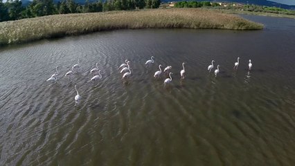 Sardinia Birdseyeview V 4.4