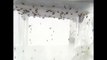 Mosquitos transgênicos podem ser usados no combate ao Aedes Aegypti