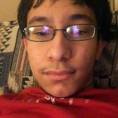 You can't install apps on the iPhone 2G