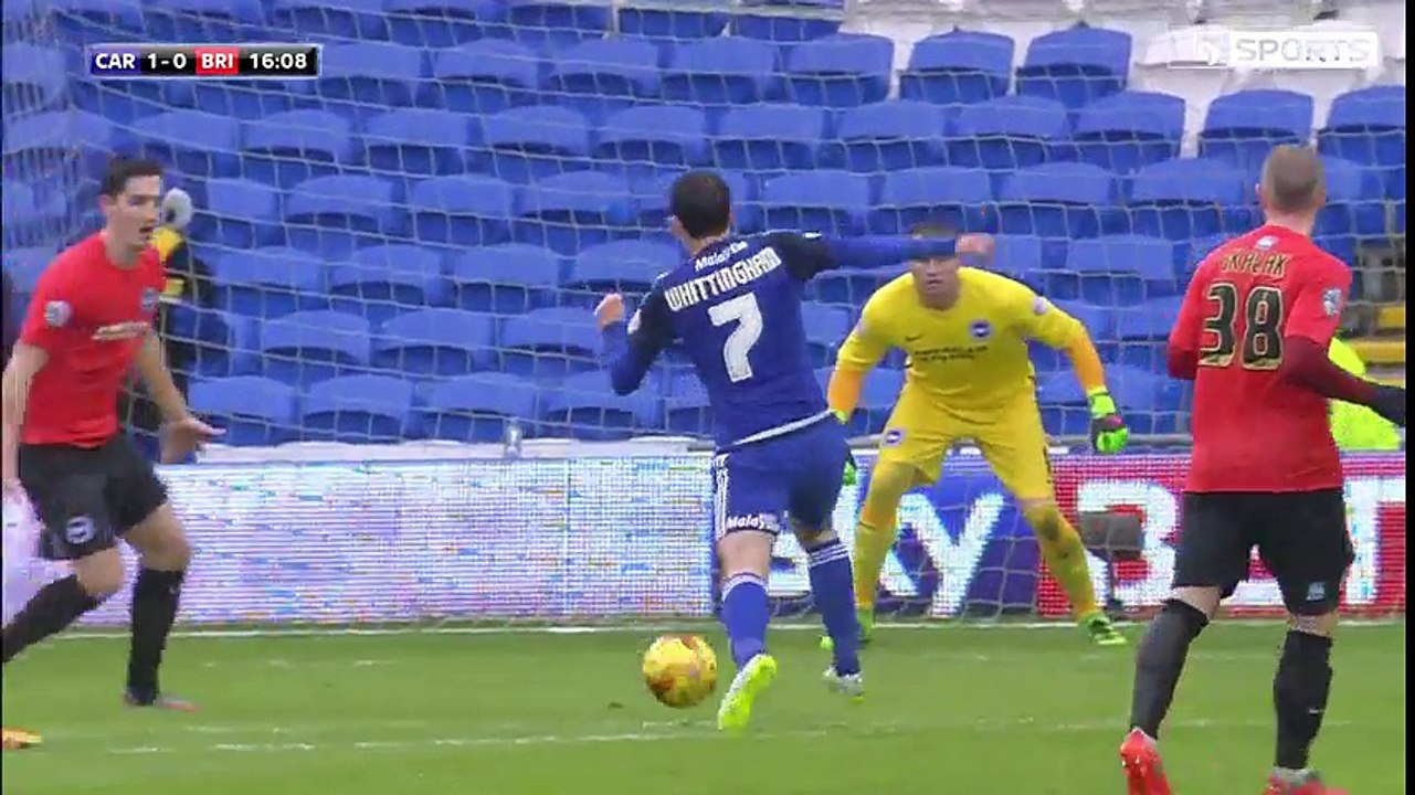 Cardiff vs Brighton & Hove 4-1 ~ All Goals & Highlights