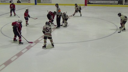 Peewee CC, 20 fevrier 2016, 2ieme periode, Glads vs Sieurs