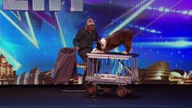 ---Catch Jules and Matisse the dog in action - Britain's Got Talent 2015
