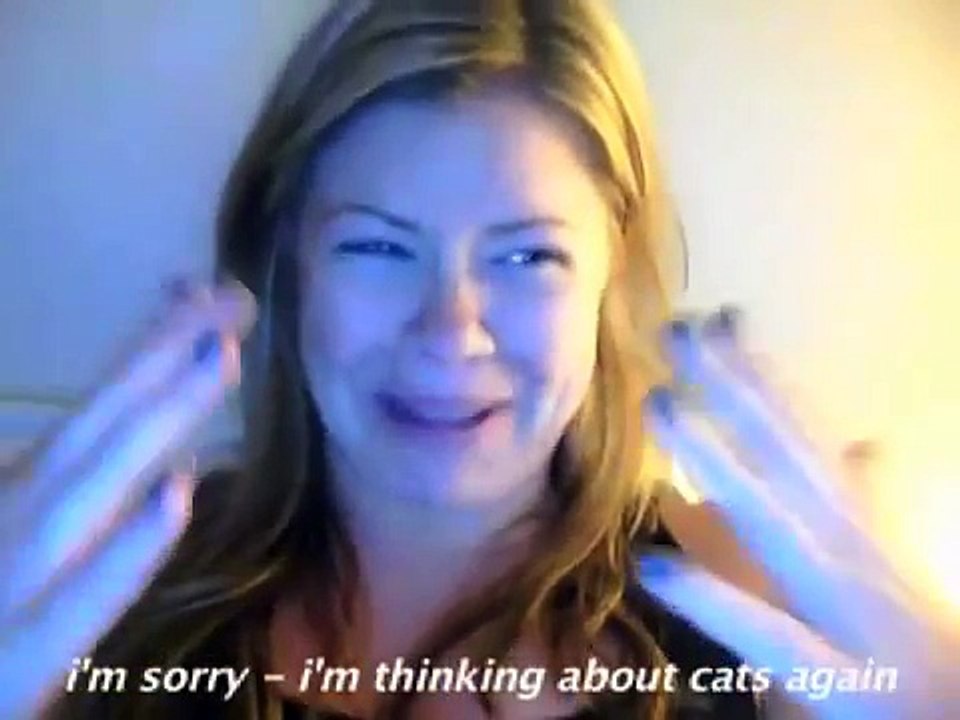 Songify This - CANT HUG EVERY CAT (now on iTunes) -- a song about loving cats