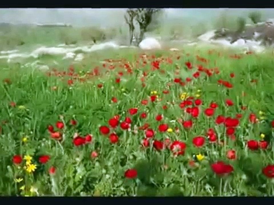 Ay Buluta Girmis Gece Yarisi ( Uzun Hava )