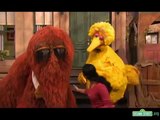 Sesame Street - Big Bird and Snuffy Talent Show