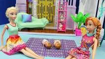 Frozen ELSA TWINS DESTROY HOUSE Baby Dolls Felicia & Alex ❤ Frozen Kids Barbie Parody DisneyCarToys
