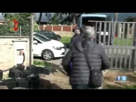 Zagarolo (Roma) - Produceva marijuana in casa, arrestato 49 enne (20.02.16)