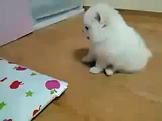 《Ｏ1Ｏ↔68Ｏ4↔5959》인천출장안마☀ε♃♄부천출장마사지☏부천출장안마≠인천출장마사지