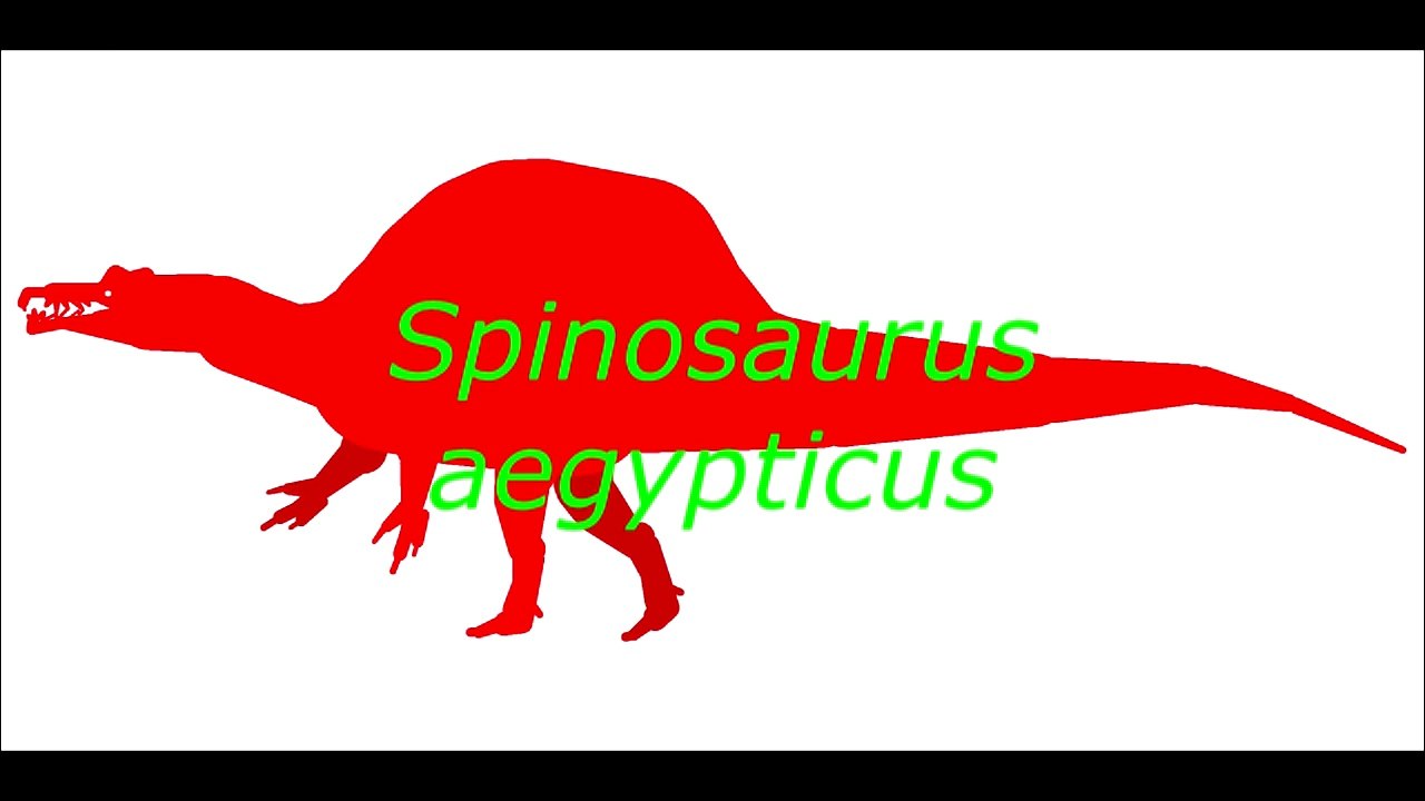 Spinosaurus aegypticus vs zhuchengtyrannus magnus (read descr.)