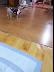 《Ｏ1Ｏ↔68Ｏ4↔5959》분당출장안마☀ε♃♄분당출장마사지☏분당출장안마≠분당출장마사지