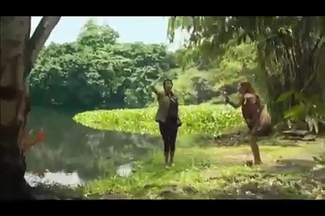 Killer Crocodile Attack