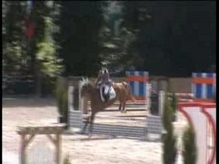 Anouk et Welcome VII Libre formation Cheseaux