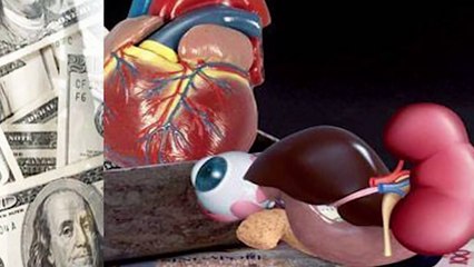 Top 10 Frightening Facts About ISIS