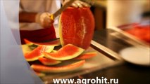 Как быстро разрезать арбуз