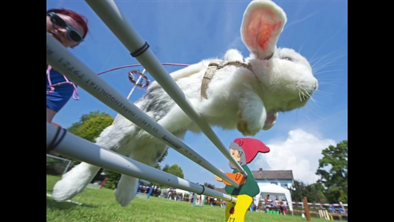 Les Photos Prises Au Bon Moment - 2022-2023