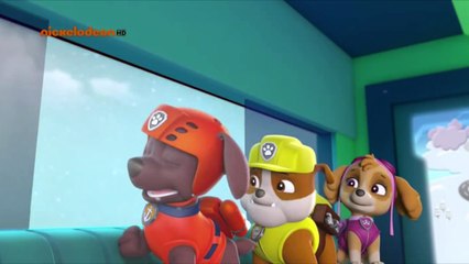 La pata de la Patrulla PuP pUp conducción peligrosa - 2016