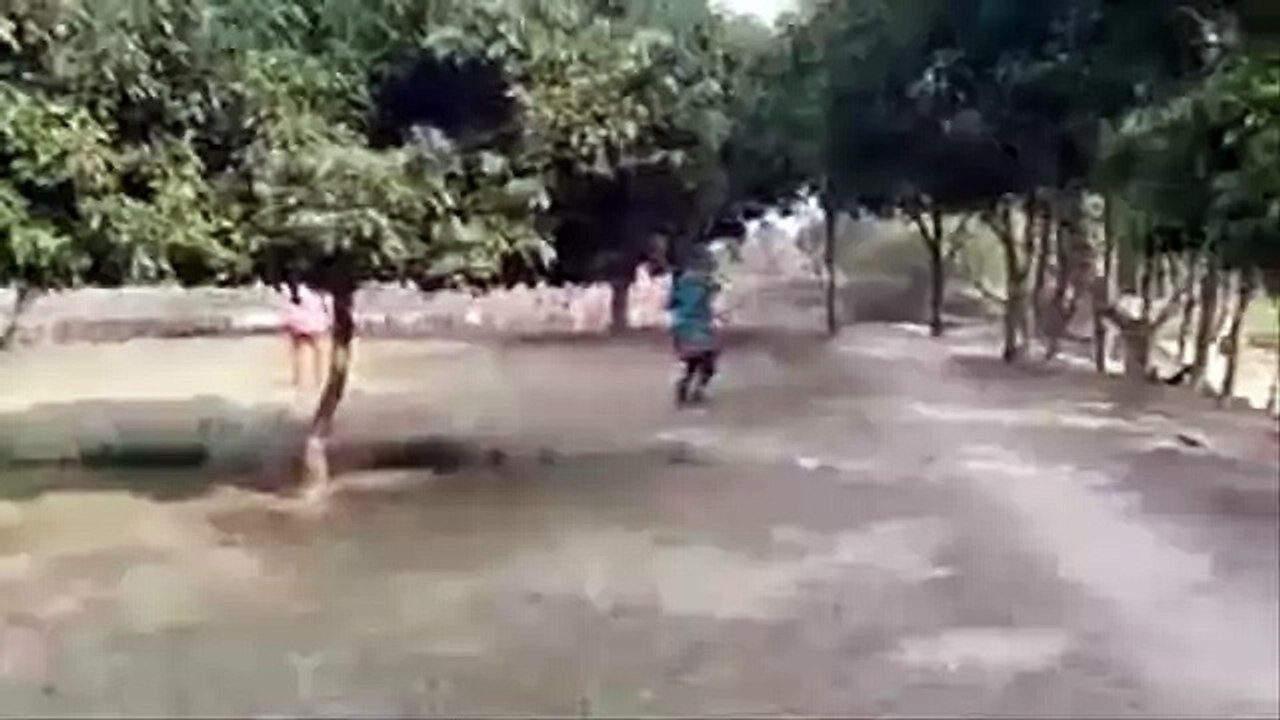 Indian Funny Videos Compilation 2016 --  funny videos - Dailymotion