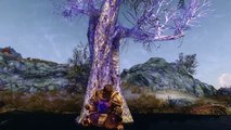 Skyrim Builds - The Paatru