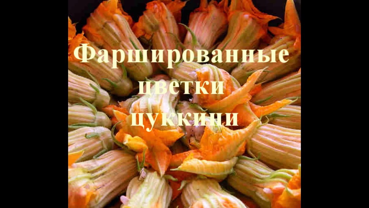 Фаршированные цветки цуккини