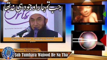 Exclusive Clip Of Maulana Tariq Jameel With Human Creation Illustration