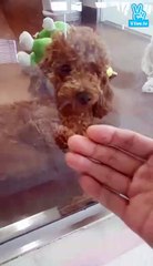 [160221] Junjin's 56th Broadcast -1-