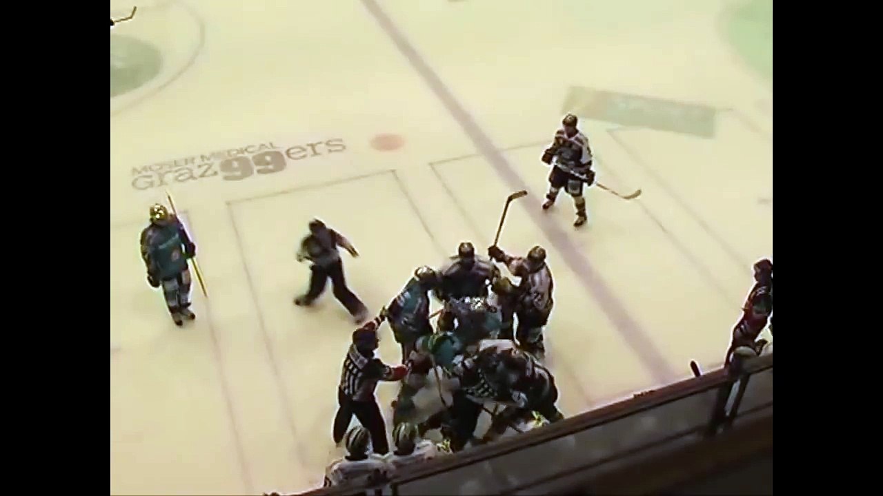 Hockey fights
