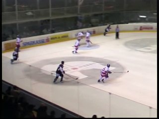 Hockey fights