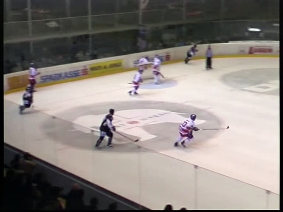 Hockey fights