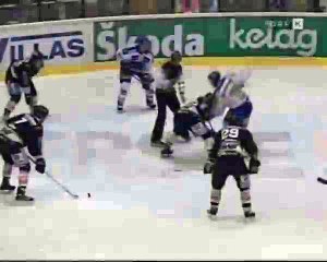 Hockey fights