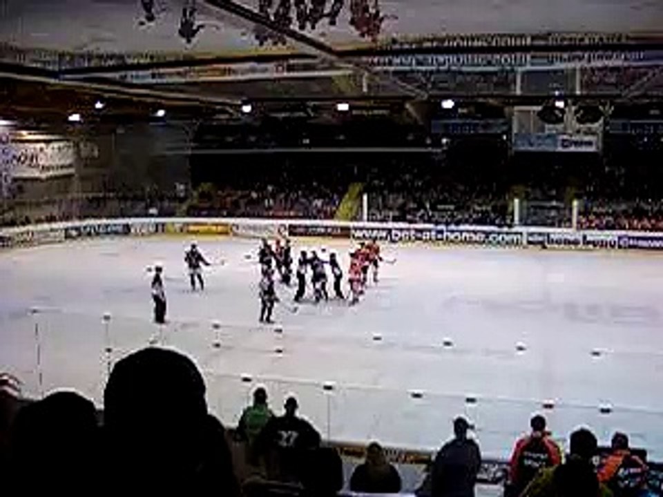 Hockey fights