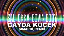 Sali Okka Edvin Eddy ROMAN HAVASI 2016 Simarik Remix New Gayda Kocek