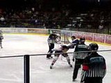 Hockey fights