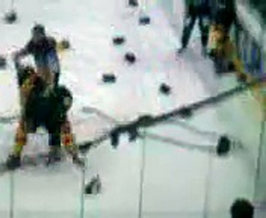 Hockey fights