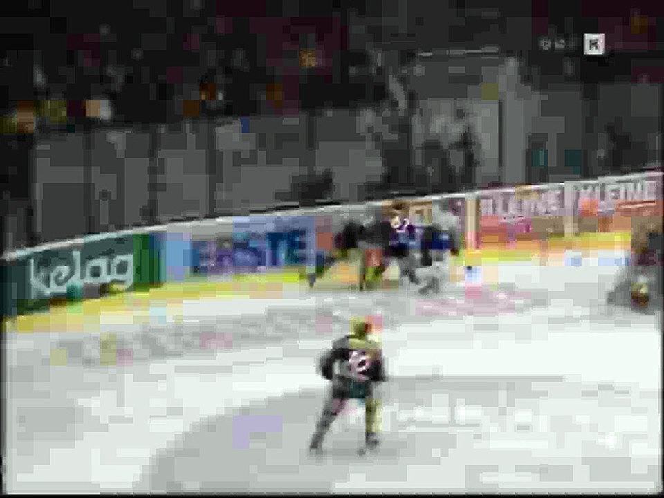 Hockey fights