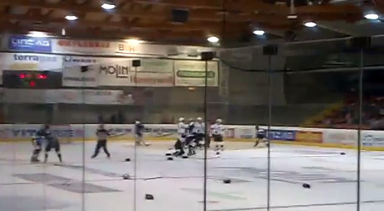 Hockey fights