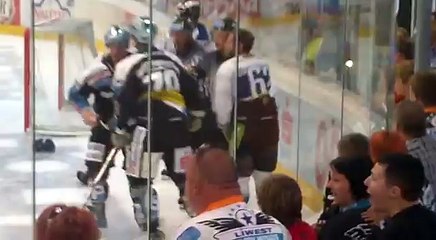 Hockey fights