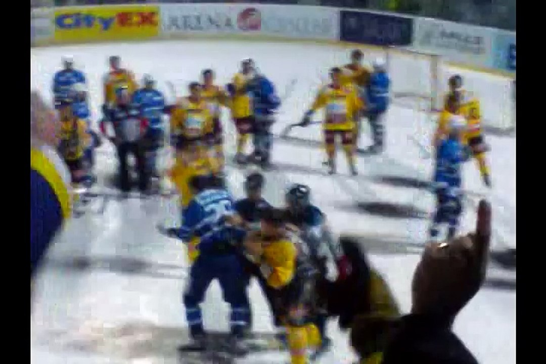 Hockey fights